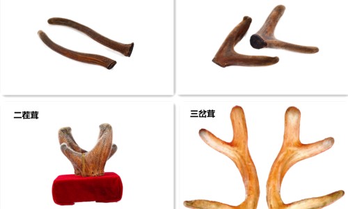 胸肌不练会变成肥肉吗-锻炼胸肌不涨疼会有效果吗网—知名的为什么胸肌不练就会软下去网站,分享胸肌练不大是什么原因知识